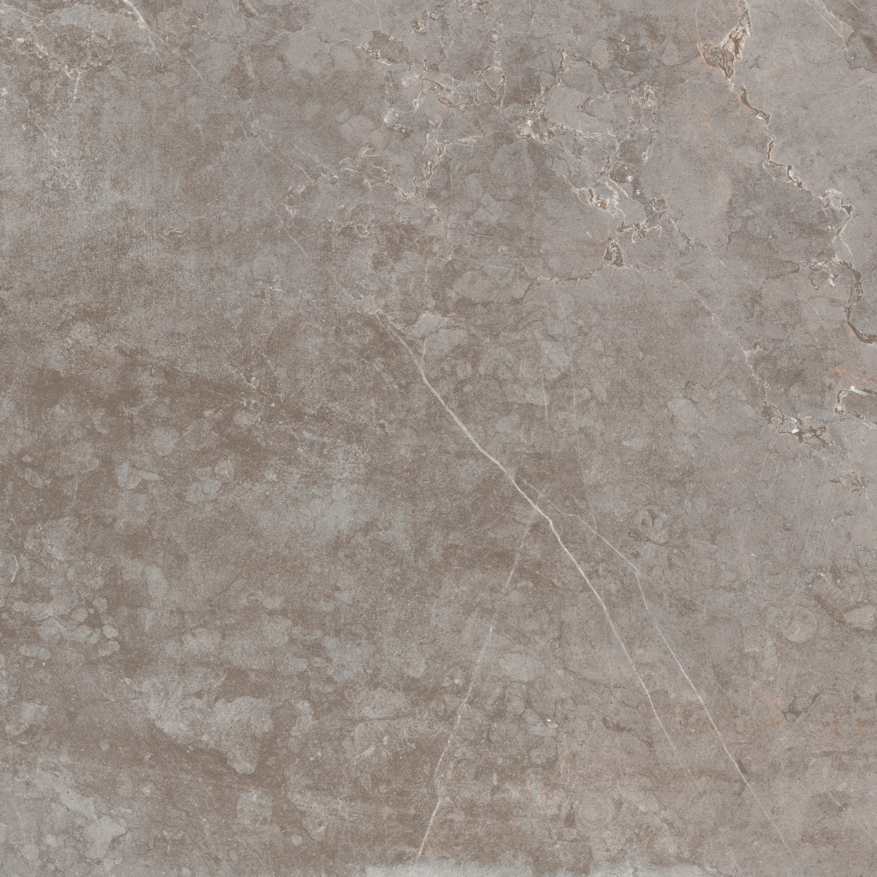 Pflaster Evostone natur 60x60