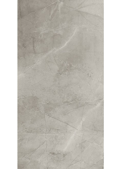 Fliese Remos grau Rect. 59,8 x 119,8