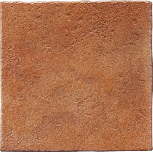Fliese Selciaia Rosso R11 25x25