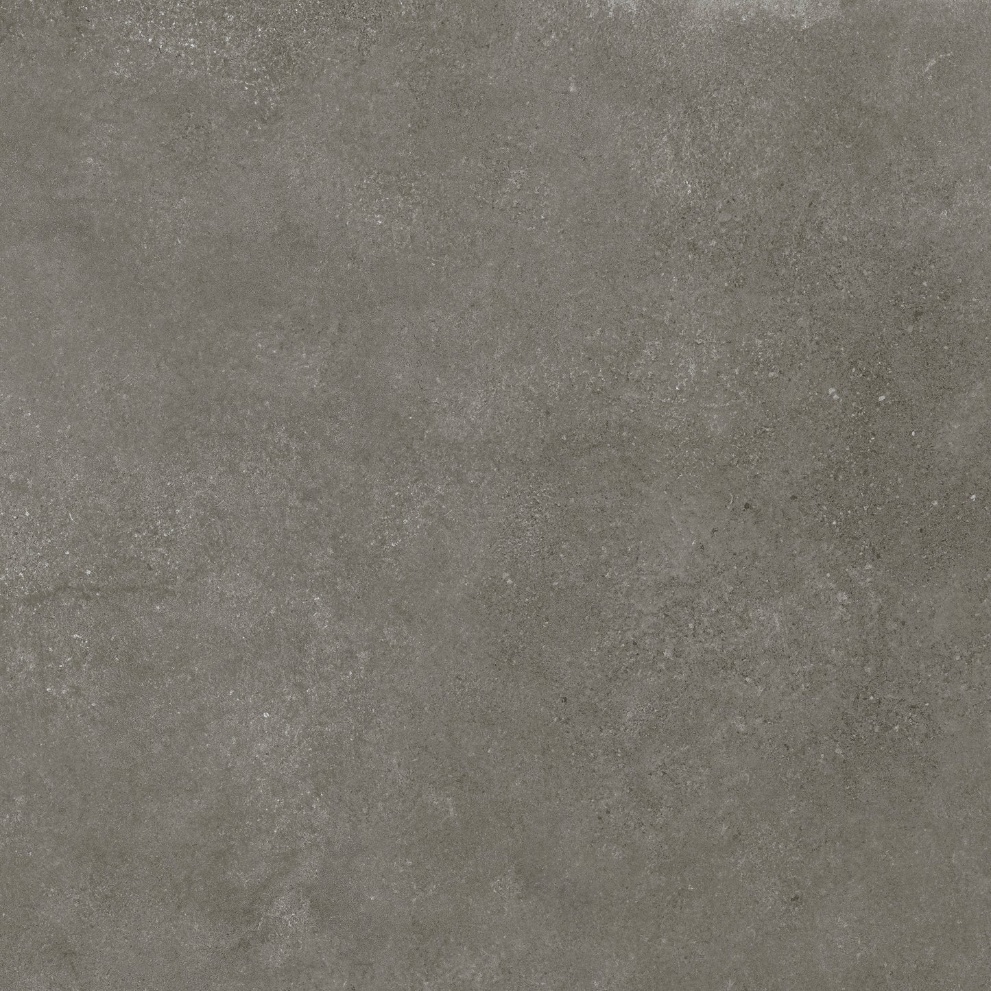 Fliese Modern Beton Graphit Lap 80x80
