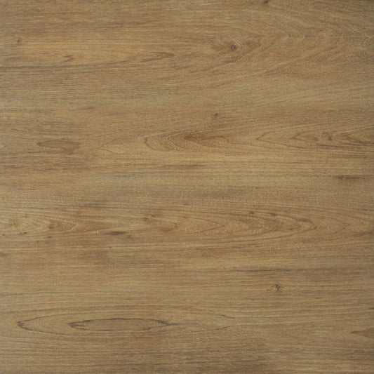 Fliese Ragaya Beige 60x60x2