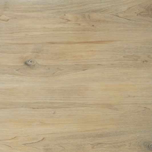 Fliese Ragaya Creme 60x60x2
