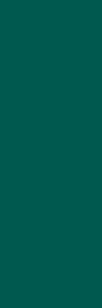 Fliese Botanica Smaragd 25x75