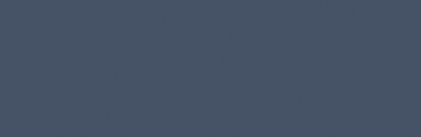 Fliese PS901 Navy Satin 29x89