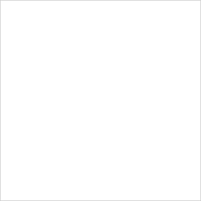 Fliese Happy White 20x20