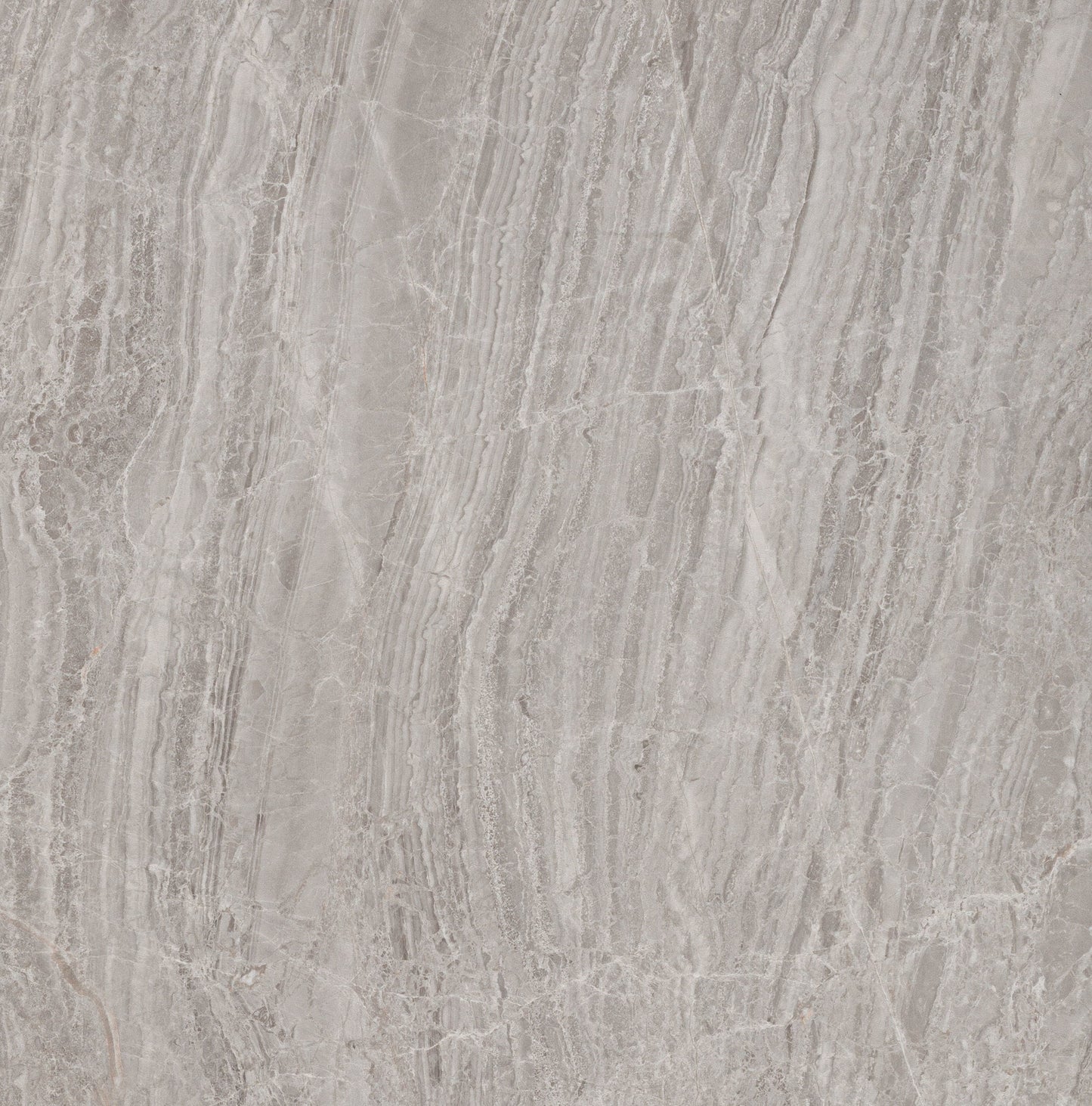Fliese Cosmic Marmor rektifiziert grau 60x60 matt
