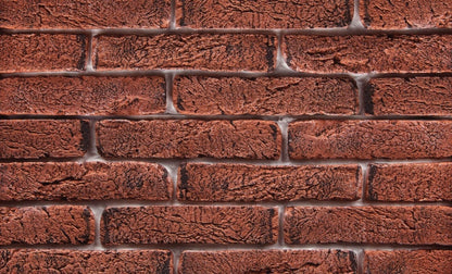 Fassadenstreifenziegel FIG Leichter Ziegel 6,5×29 Rohovka