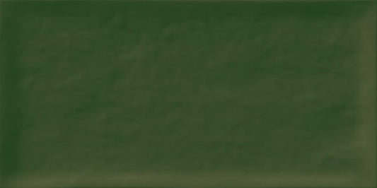 AQUA obklad Verde 10x20 (1m2)